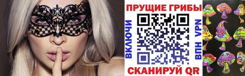 купить   Калининск  Галлюциногенные грибы GOLDEN TEACHER 